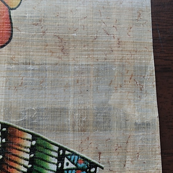 Large papayrus ! - Picture 4 of 8